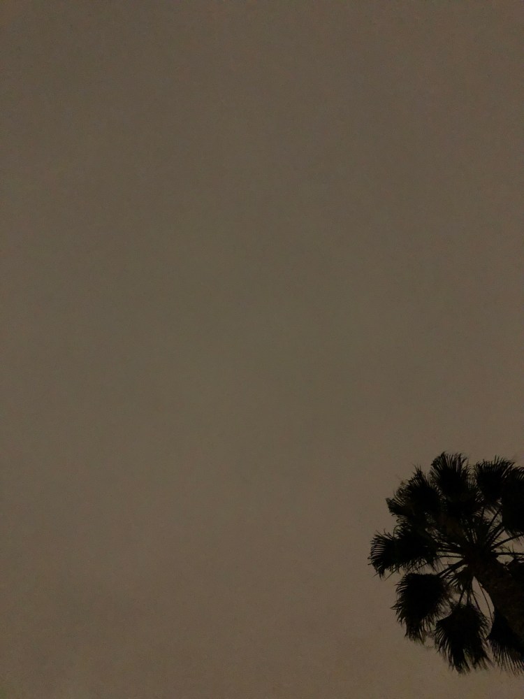 The view from my mat 